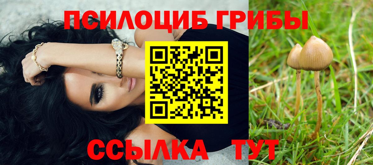 купить наркотики сайты  Псилоцибиновые грибы Magic Shrooms  Вход с VPN  Геленджик 